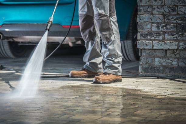 Best Sidewalk and Walkway Cleaning  in Ferrysburg, MI