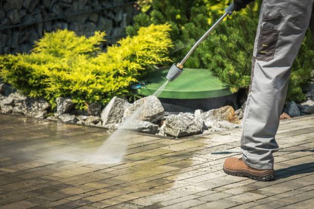 Best Fence Cleaning  in Ferrysburg, MI
